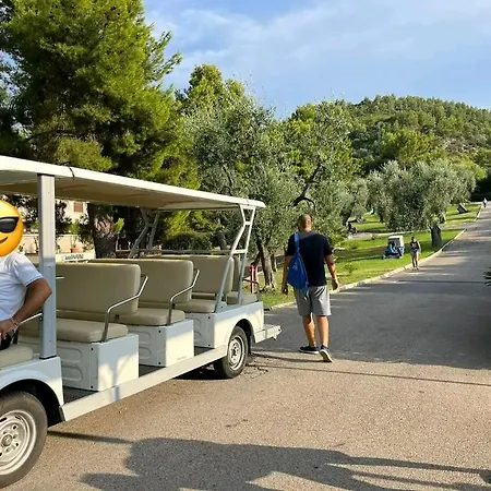 Apartamento I Delfini Vieste